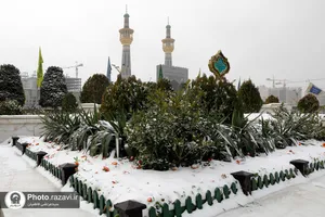 بارش برف در حرم مطهر رضوی -2