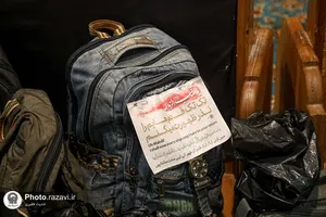 موکب &laquo;دارالکرامه&raquo; امام رضا علیه&zwnj;السلام در باغ&zwnj;اردوگاه خاتون