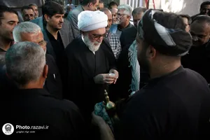 بازدید تولیت آستان قدس رضوی از مواکب دهه آخر صفر