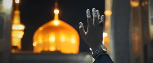 نماهنگ یا غریب الغربا علیه السلام