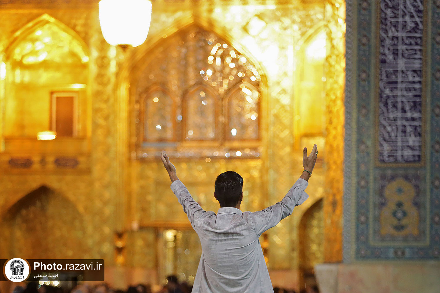 عکس با کیفیت : زیارت در حرم امام رضا علیه السلام