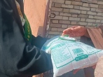 توزیع برنج در بین نیازمندان