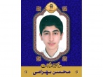 دانش آموز مدرسه امام رضا(ع) عنوان دوم المپیاد اقتصاد و مدیریت را کسب کرد 