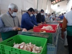 یک هزار و ۵۰۰ خانواده محروم کرمانشاه از گوشت قربانی متنعم شدند 