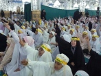 پرواز پروانه ها