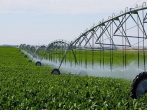 بهره‌برداری از سیستم‌های آبیاری نوین در اراضی شرکت کشاورزی رضوی 