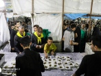 پیش بینی توزیع بیش از 700 هزار وعده غذایی در 4 موکب مستقر در مهران