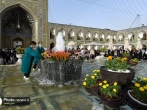 خانواده کرجی، از سعادت ۱۶ ساله اهدای گل به آستان امام رضا(ع) می‌گویند/ اشتیاق گلباران برای بارگاه سلطان خراسان