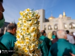 برگزاری آئین استغاثه به امام زمان(عج) و اهدای 12 هزار شاخه گل نرگس به حرم رضوی  