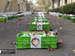 توزیع ۴ هزار کیلوگرم گوشت قرمز در حاشیه شهر مشهد