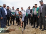 آغاز اجرای طرح ملی درختکاری «مژده بهار» در استان هرمزگان 