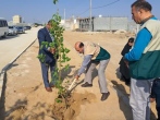 همزمان با روز درختکاری پویش مژده بهار در استان بوشهر اجرا شد
