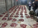 بیش از ۱۵۰۰ گوسفند به مناسبت شهادت حضرت علی (ع) در بشاگرد ذبح شد