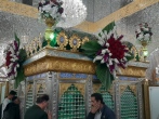 گل آرایی ضریح مطهر حضرت حسین بن موسی الکاظم(ع)