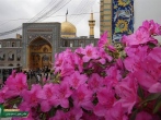 جایگاه عید فطر از منظر امام رضا(ع) / سیره رفتاری امام رضا(ع) در روز عید فطر