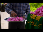 روایتی از گل محمدی و گلاب خاص حرم مطهر رضوی