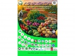 بررسی جامع ویژگی‌های آرد کامل گندم در سومین همایش بین‌المللی کشاورزی