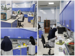 بهره‌مندی بیش از 19 هزار بیمار از خدمات آزمایشگاه دارالشفای امام(ع) در سال 1403