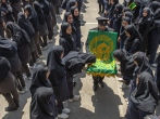 گلستان زیر سایه خورشید/ گزارش تصویری