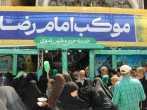 توزیع ۳۰ هزار پرس غذای تبرکی بین زائران شیرازی در موکب امام رضا(ع)