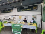 آغاز به کار «خیمه کرامت» در ساوه/ ارائه خدمات متنوع فرهنگی و اجتماعی در دهه کرامت