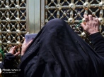 یک روز رویایی در بهشت