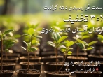 تخفیف‌ ویژه محصولات در مجتمع گل‌وگیاه رضوی