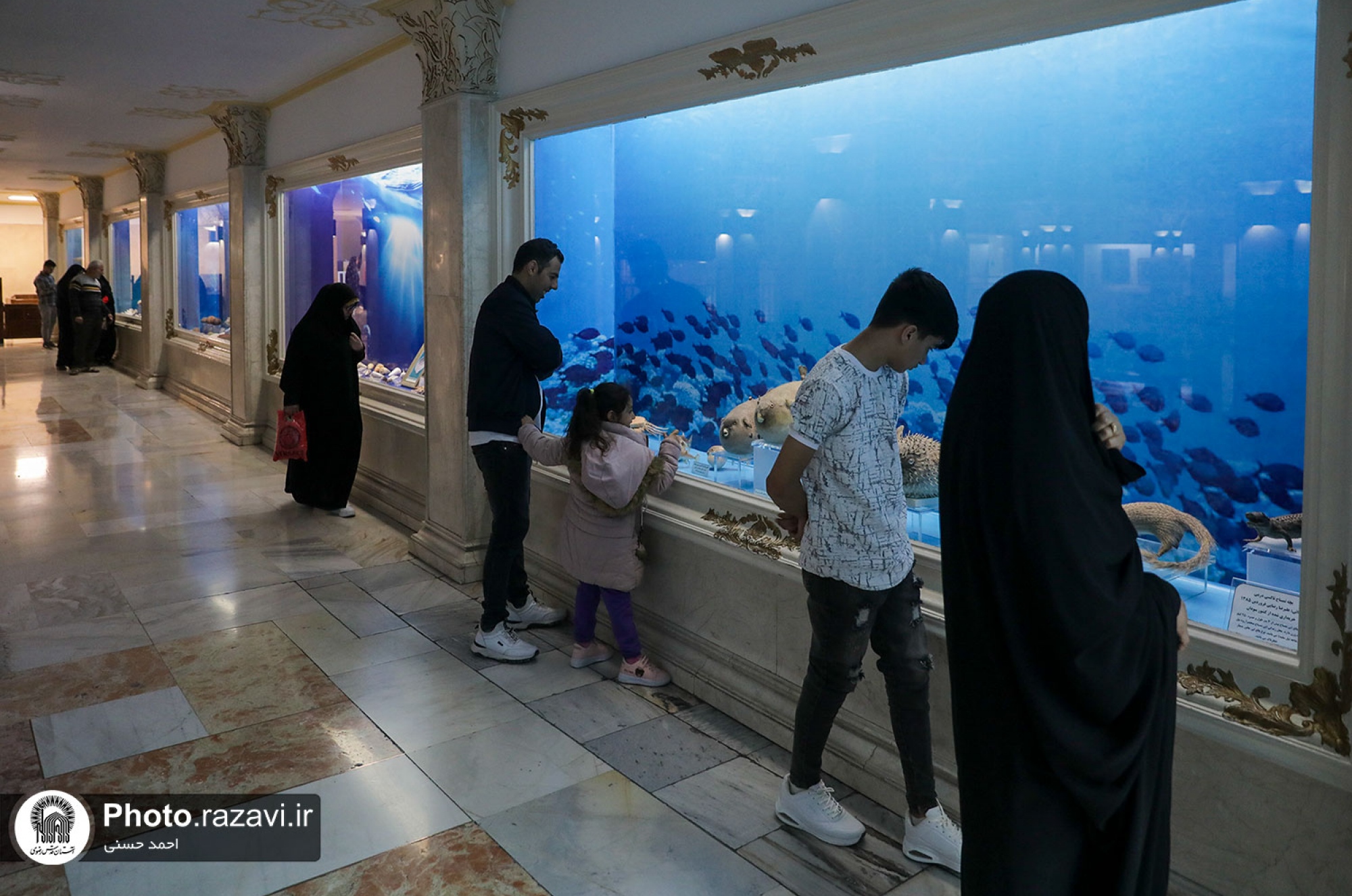 گنجینه آبزیان موزه مرکزی آستان قدس رضوی