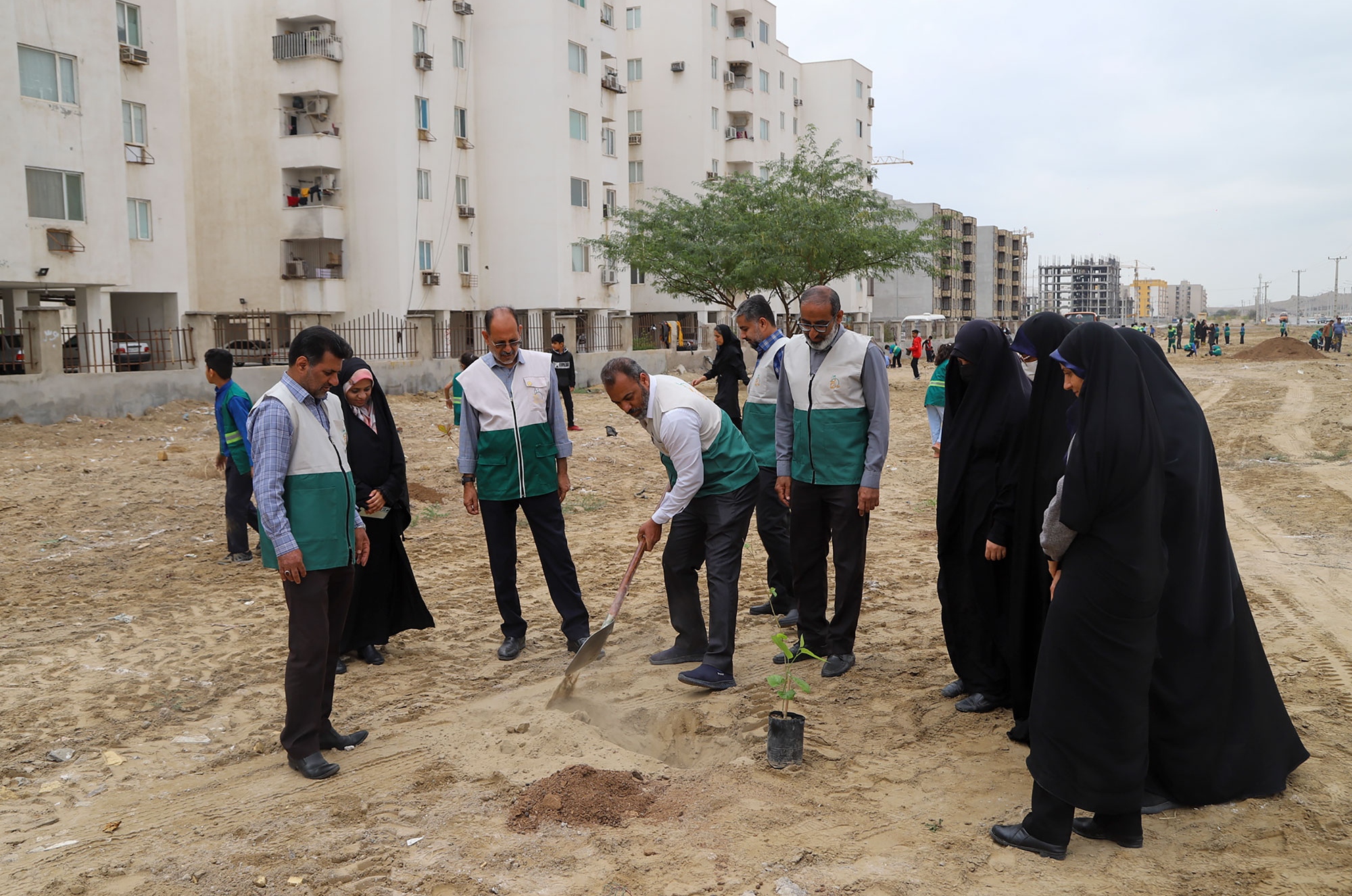 کاشت درخت مثمر در شهر بندرعباس