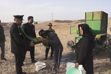 کاروان زیرسایه خورشید در مزارع مسجدسلیمان