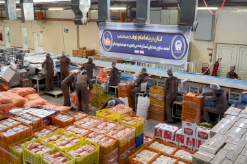 لبنان در پناه امام رئوف(ع)