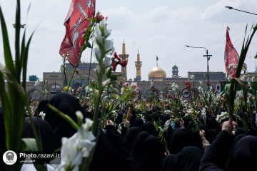 دختران مشهدی حرم امام رضا (ع) را گلباران کردند