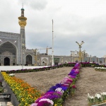 نصب فرش گل نوروزی در صحن پیامبر اعظم(ص) 