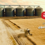 دستاوردهای چشمگیر شرکت آرد قدس رضوی در سال ۱۴۰۳